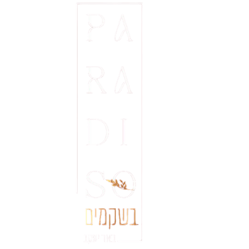 לוגו פרויקט Real